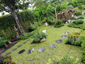 Dịch vụ trồng cỏ tại Nam Tân Uyên Bình Dương